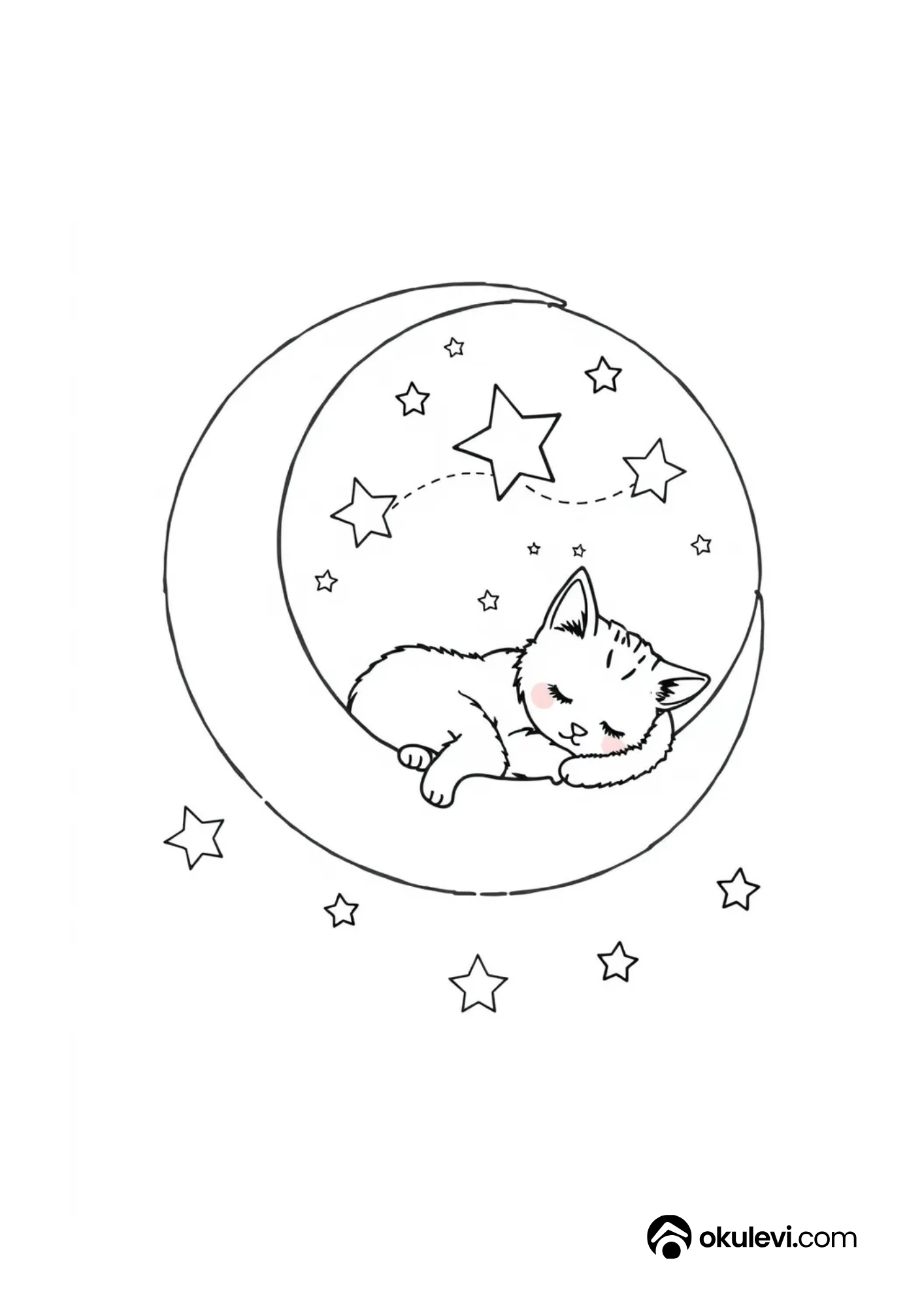 ayda masum kedi boyama