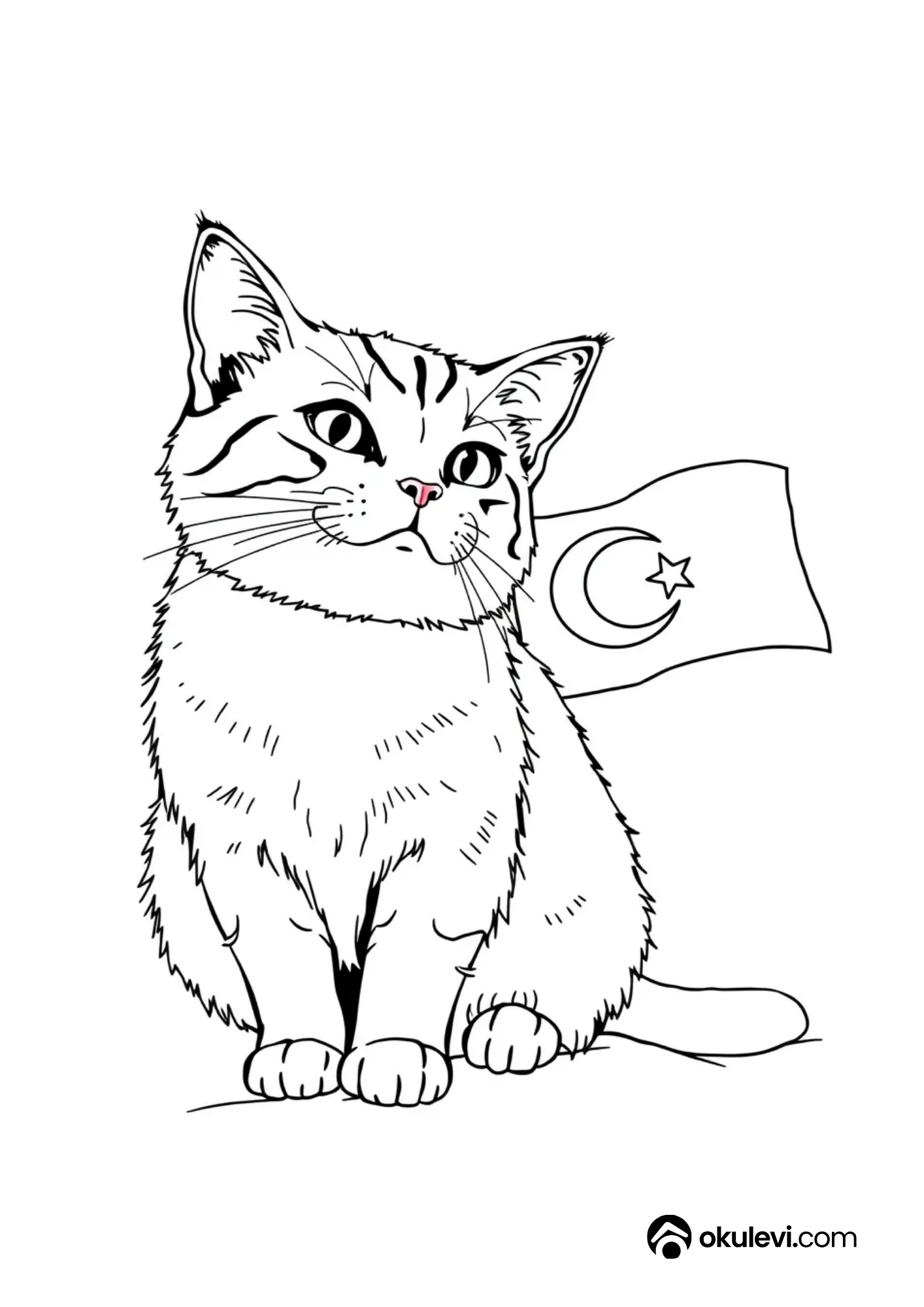 türk bayraklı tekir kedi